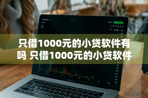 只借1000元的小贷软件有吗 只借1000元的小贷软件有吗安全吗