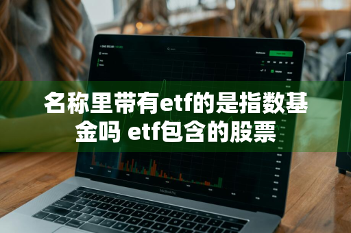 名称里带有etf的是指数基金吗 etf包含的股票