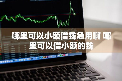 哪里可以小额借钱急用啊 哪里可以借小额的钱