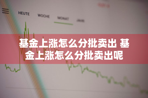 基金上涨怎么分批卖出 基金上涨怎么分批卖出呢