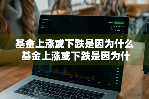 基金上涨或下跌是因为什么 基金上涨或下跌是因为什么原因