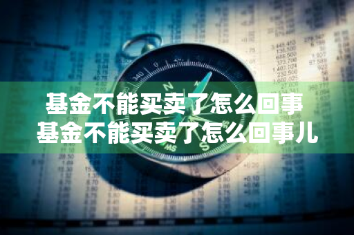 基金不能买卖了怎么回事 基金不能买卖了怎么回事儿