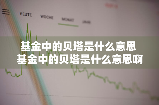 基金中的贝塔是什么意思 基金中的贝塔是什么意思啊