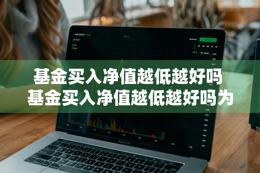 基金买入净值越低越好吗 基金买入净值越低越好吗为什么