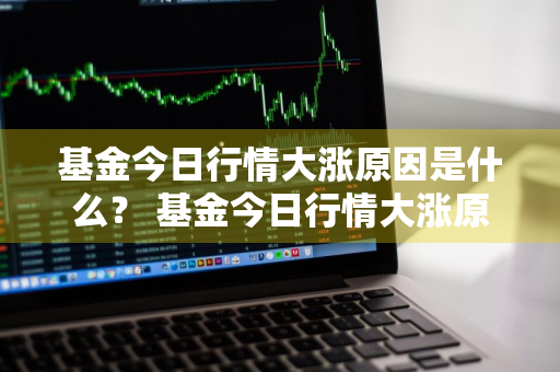 基金今日行情大涨原因是什么？ 基金今日行情大涨原因是什么呢