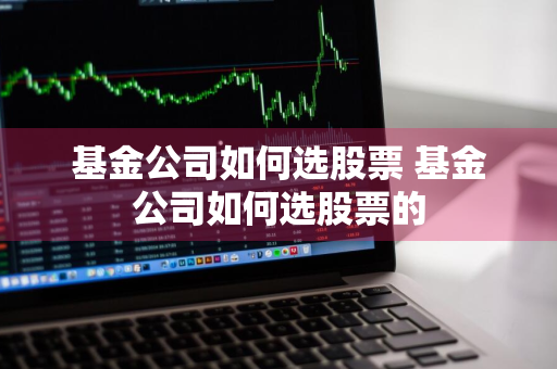 基金公司如何选股票 基金公司如何选股票的