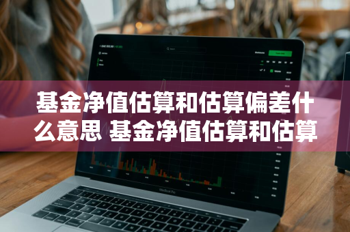 基金净值估算和估算偏差什么意思 基金净值估算和估算偏差什么意思啊