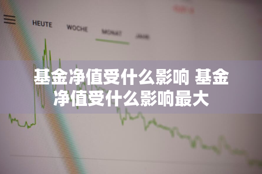 基金净值受什么影响 基金净值受什么影响最大