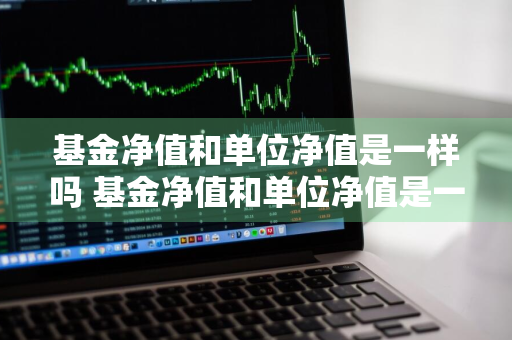 基金净值和单位净值是一样吗 基金净值和单位净值是一样吗为什么