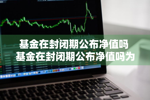 基金在封闭期公布净值吗 基金在封闭期公布净值吗为什么