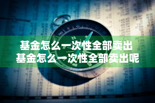 基金怎么一次性全部卖出 基金怎么一次性全部卖出呢