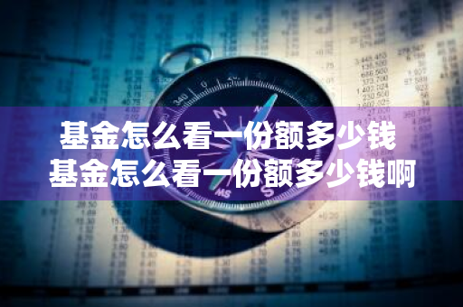 基金怎么看一份额多少钱 基金怎么看一份额多少钱啊