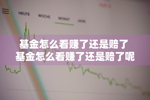 基金怎么看赚了还是赔了 基金怎么看赚了还是赔了呢