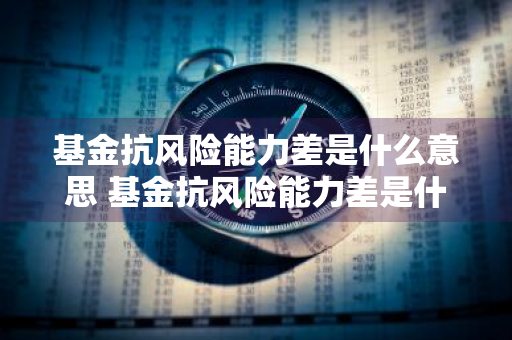 基金抗风险能力差是什么意思 基金抗风险能力差是什么意思啊