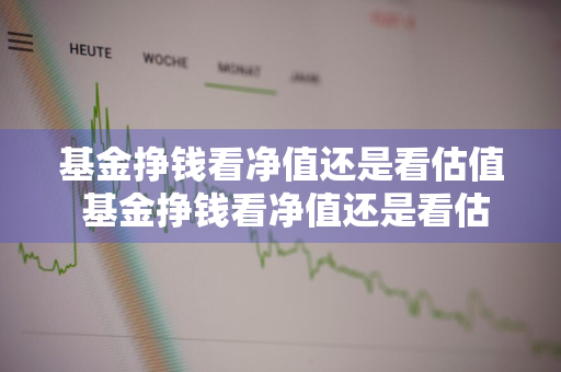 基金挣钱看净值还是看估值 基金挣钱看净值还是看估值呢