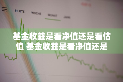 基金收益是看净值还是看估值 基金收益是看净值还是看估值呢