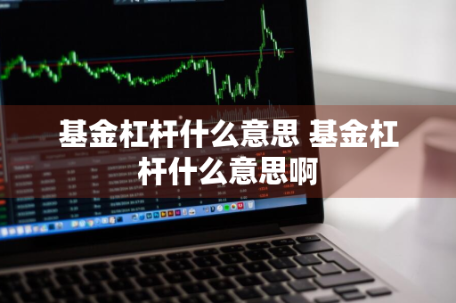 基金杠杆什么意思 基金杠杆什么意思啊