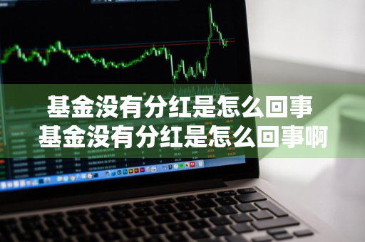 基金没有分红是怎么回事 基金没有分红是怎么回事啊