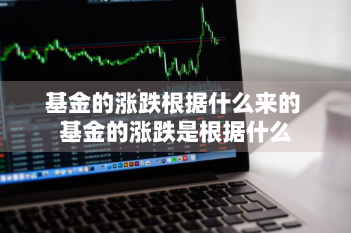 基金的涨跌根据什么来的 基金的涨跌是根据什么