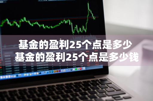 基金的盈利25个点是多少 基金的盈利25个点是多少钱