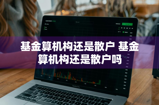 基金算机构还是散户 基金算机构还是散户吗