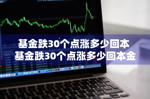 基金跌30个点涨多少回本 基金跌30个点涨多少回本金