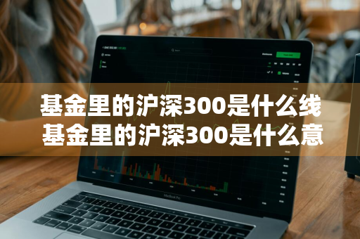 基金里的沪深300是什么线 基金里的沪深300是什么意思