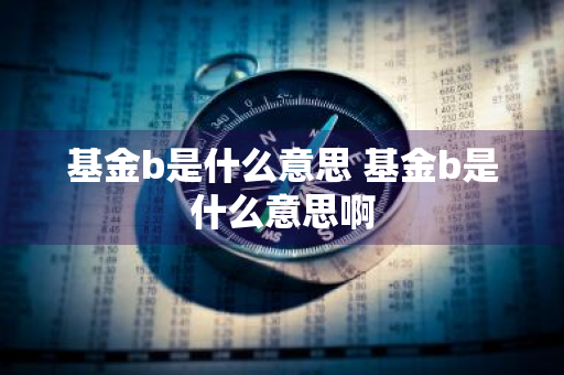 基金b是什么意思 基金b是什么意思啊