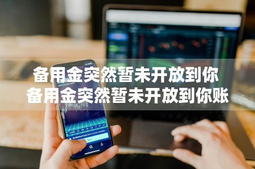 备用金突然暂未开放到你 备用金突然暂未开放到你账户