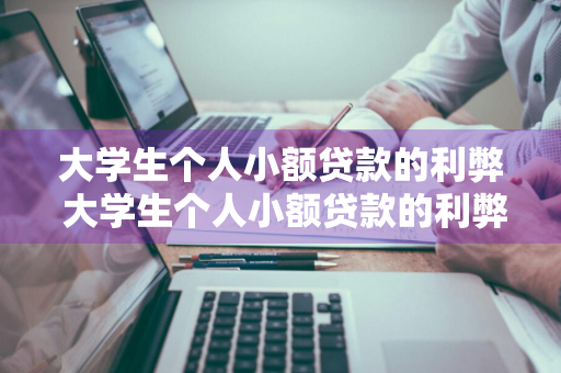 大学生个人小额贷款的利弊 大学生个人小额贷款的利弊分析