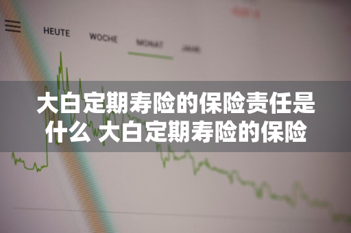 大白定期寿险的保险责任是什么 大白定期寿险的保险责任是什么意思