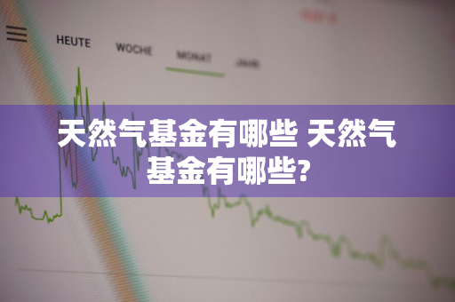 天然气基金有哪些 天然气基金有哪些?