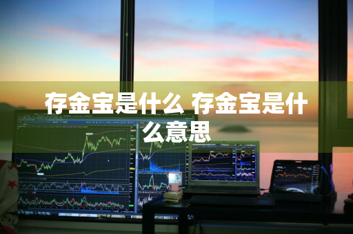 存金宝是什么 存金宝是什么意思