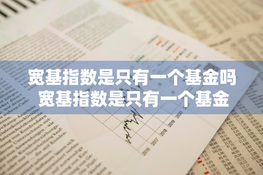 宽基指数是只有一个基金吗 宽基指数是只有一个基金吗为什么