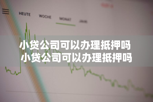 小贷公司可以办理抵押吗 小贷公司可以办理抵押吗