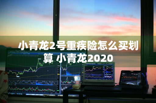 小青龙2号重疾险怎么买划算 小青龙2020