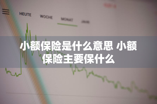 小额保险是什么意思 小额保险主要保什么