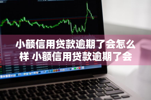 小额信用贷款逾期了会怎么样 小额信用贷款逾期了会怎么样吗