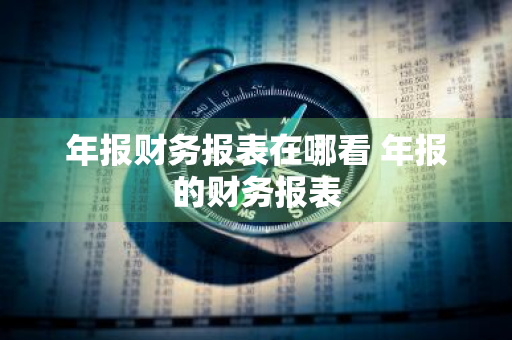 年报财务报表在哪看 年报的财务报表