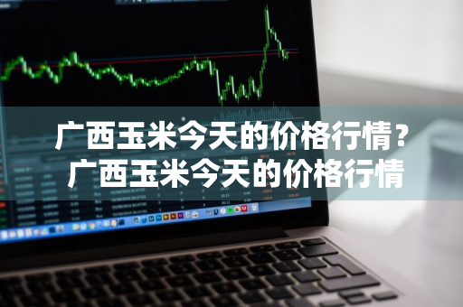 广西玉米今天的价格行情？ 广西玉米今天的价格行情