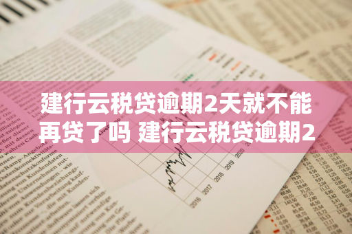 建行云税贷逾期2天就不能再贷了吗 建行云税贷逾期2天就不能再贷了吗?