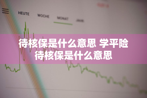 待核保是什么意思 学平险待核保是什么意思