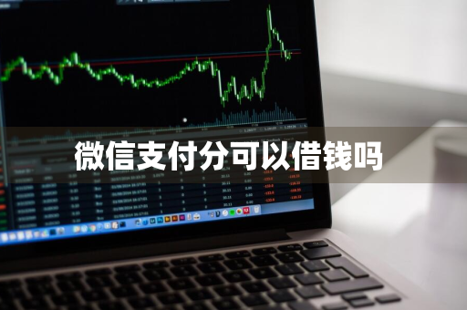 微信支付分可以借钱吗 