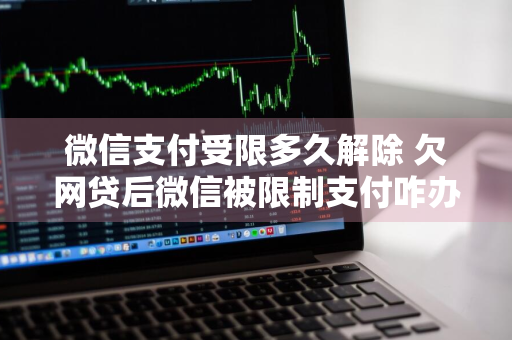 微信支付受限多久解除 欠网贷后微信被限制支付咋办