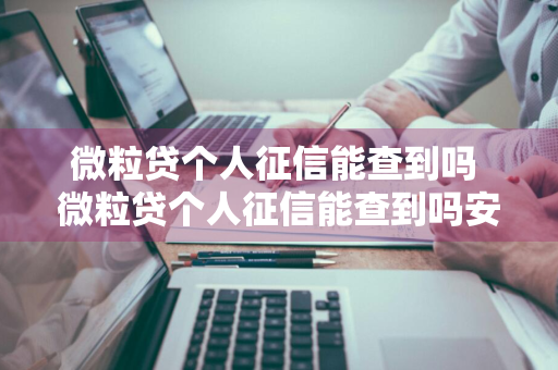 微粒贷个人征信能查到吗 微粒贷个人征信能查到吗安全吗