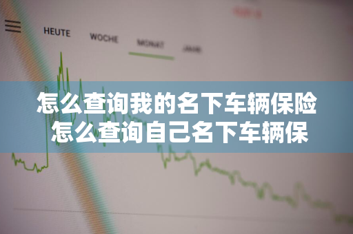 怎么查询我的名下车辆保险 怎么查询自己名下车辆保险