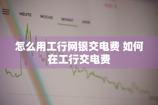 怎么用工行网银交电费 如何在工行交电费