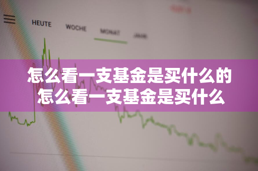 怎么看一支基金是买什么的 怎么看一支基金是买什么的呢