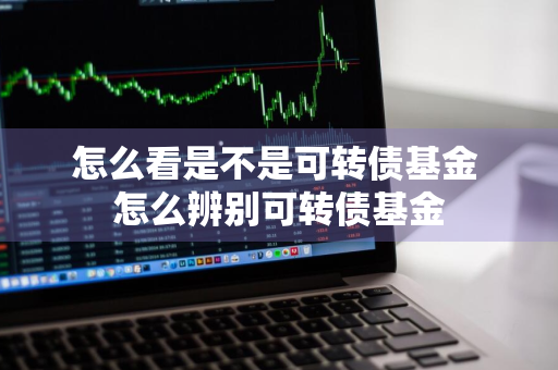 怎么看是不是可转债基金 怎么辨别可转债基金