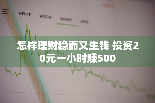 怎样理财稳而又生钱 投资20元一小时赚500